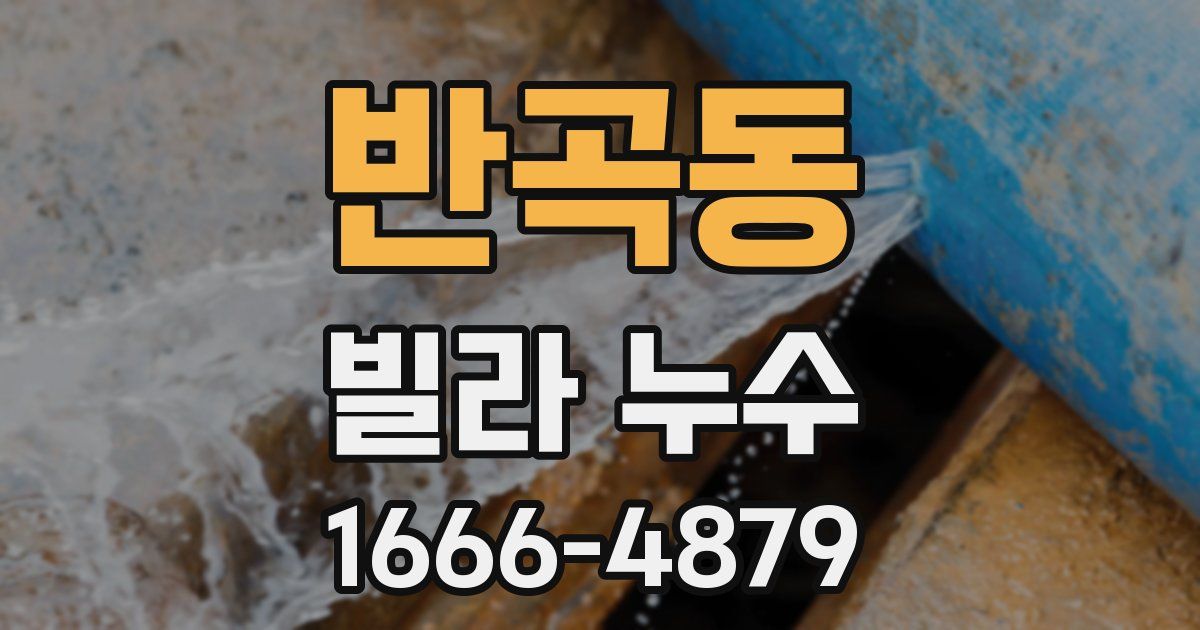 반곡동 빌라 누수