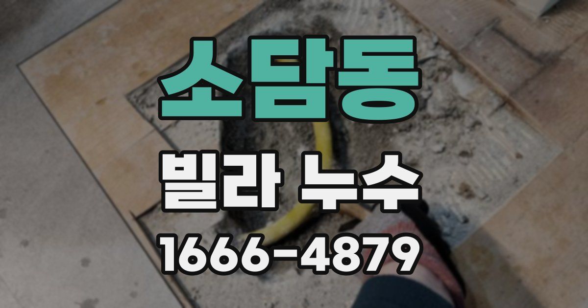 소담동 빌라 누수