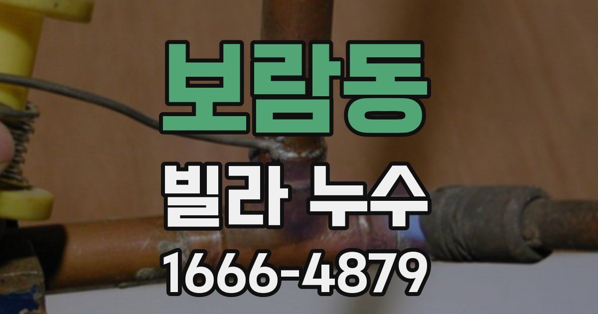 보람동 빌라 누수