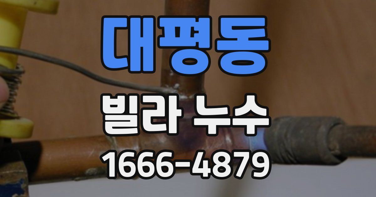 대평동 빌라 누수