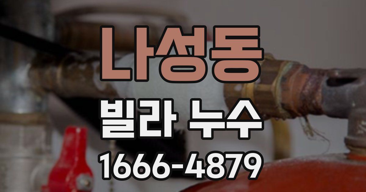 나성동 빌라 누수