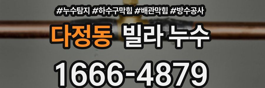 다정동 빌라 누수