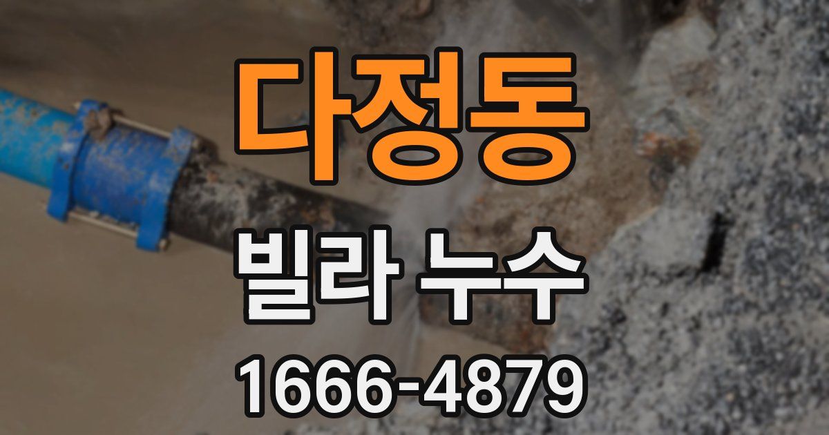 다정동 빌라 누수