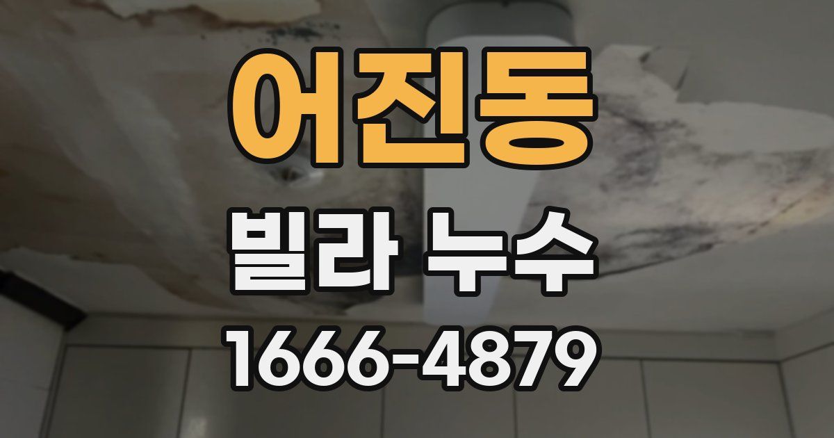 어진동 빌라 누수