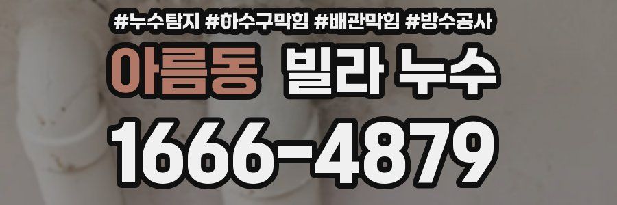 아름동 빌라 누수