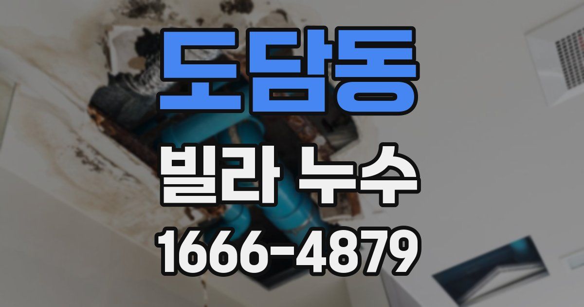 도담동 빌라 누수