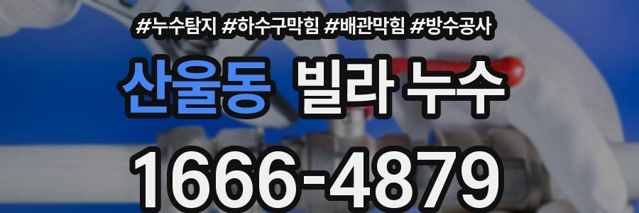산울동 빌라 누수