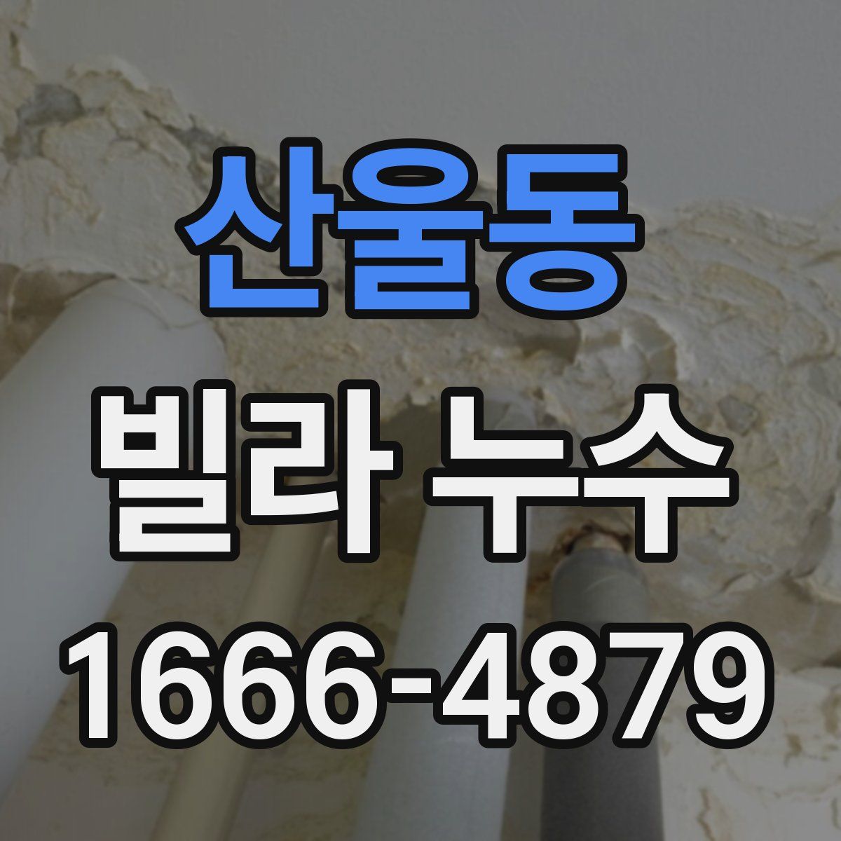 산울동 빌라 누수