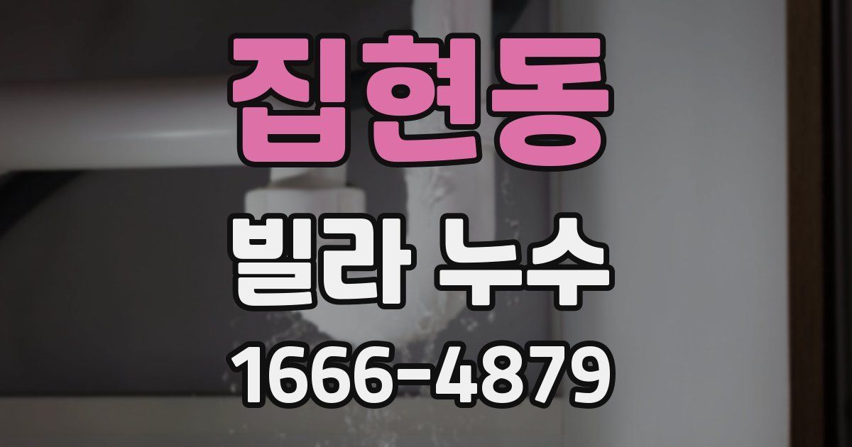 집현동 빌라 누수