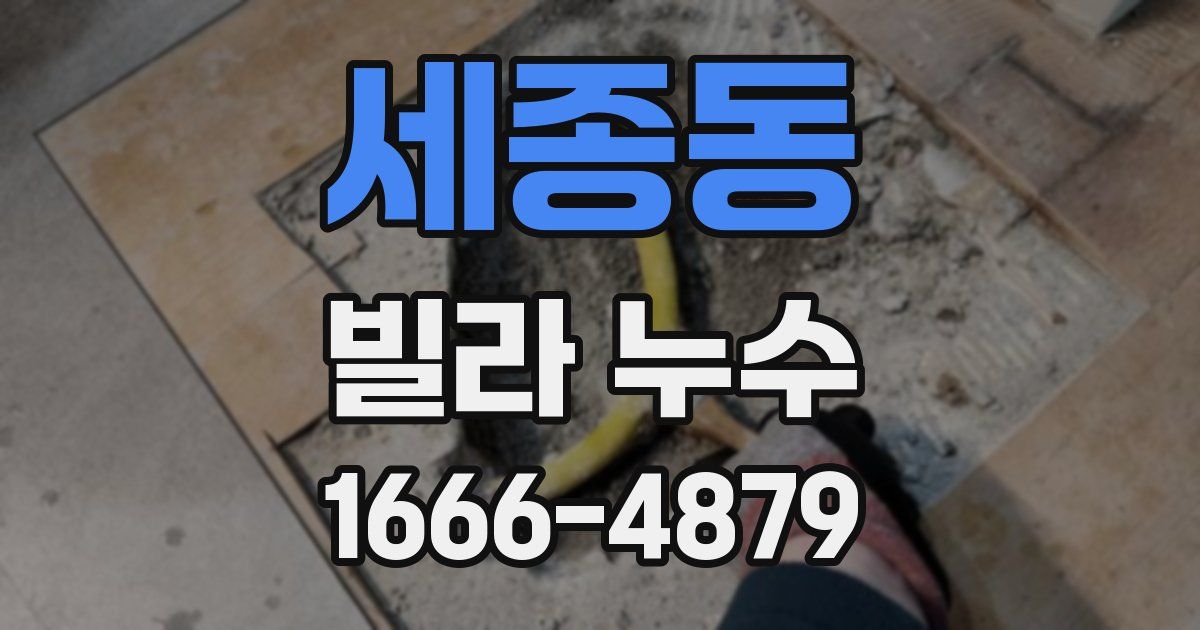 세종동 빌라 누수