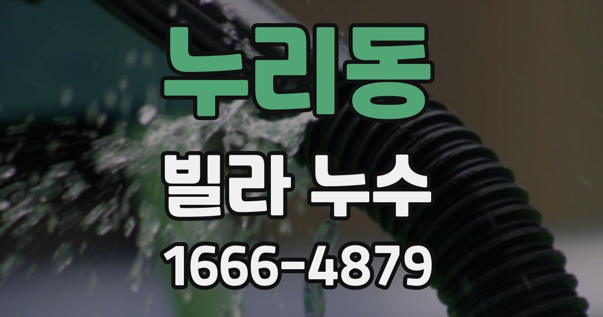 누리동 빌라 누수