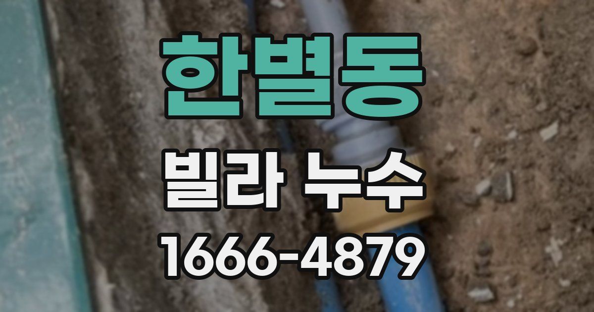 한별동 빌라 누수