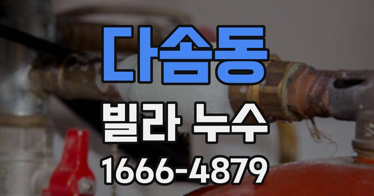 다솜동 빌라 누수