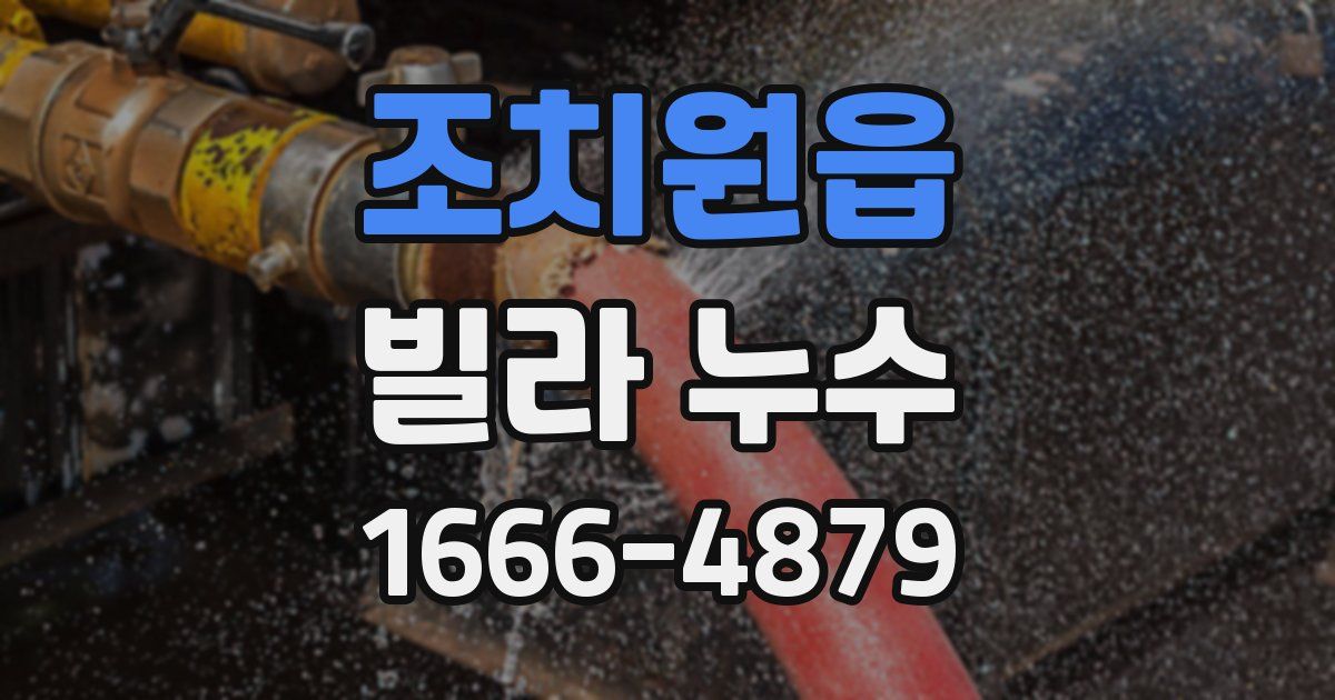 조치원읍 빌라 누수