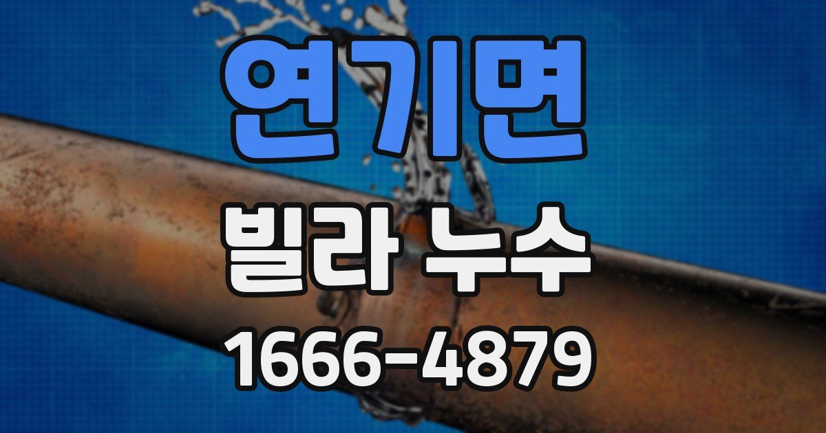 연기면 빌라 누수