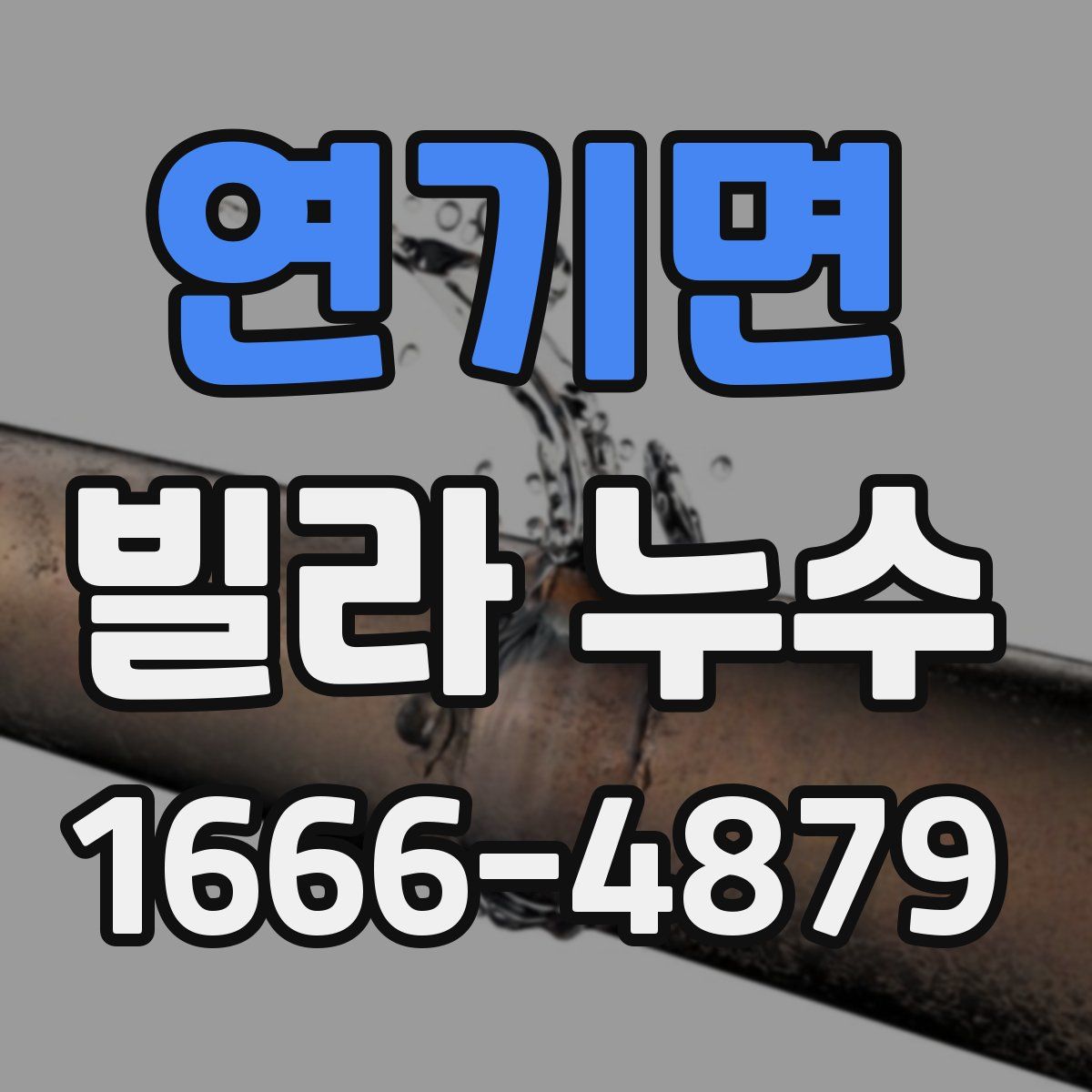 연기면 빌라 누수