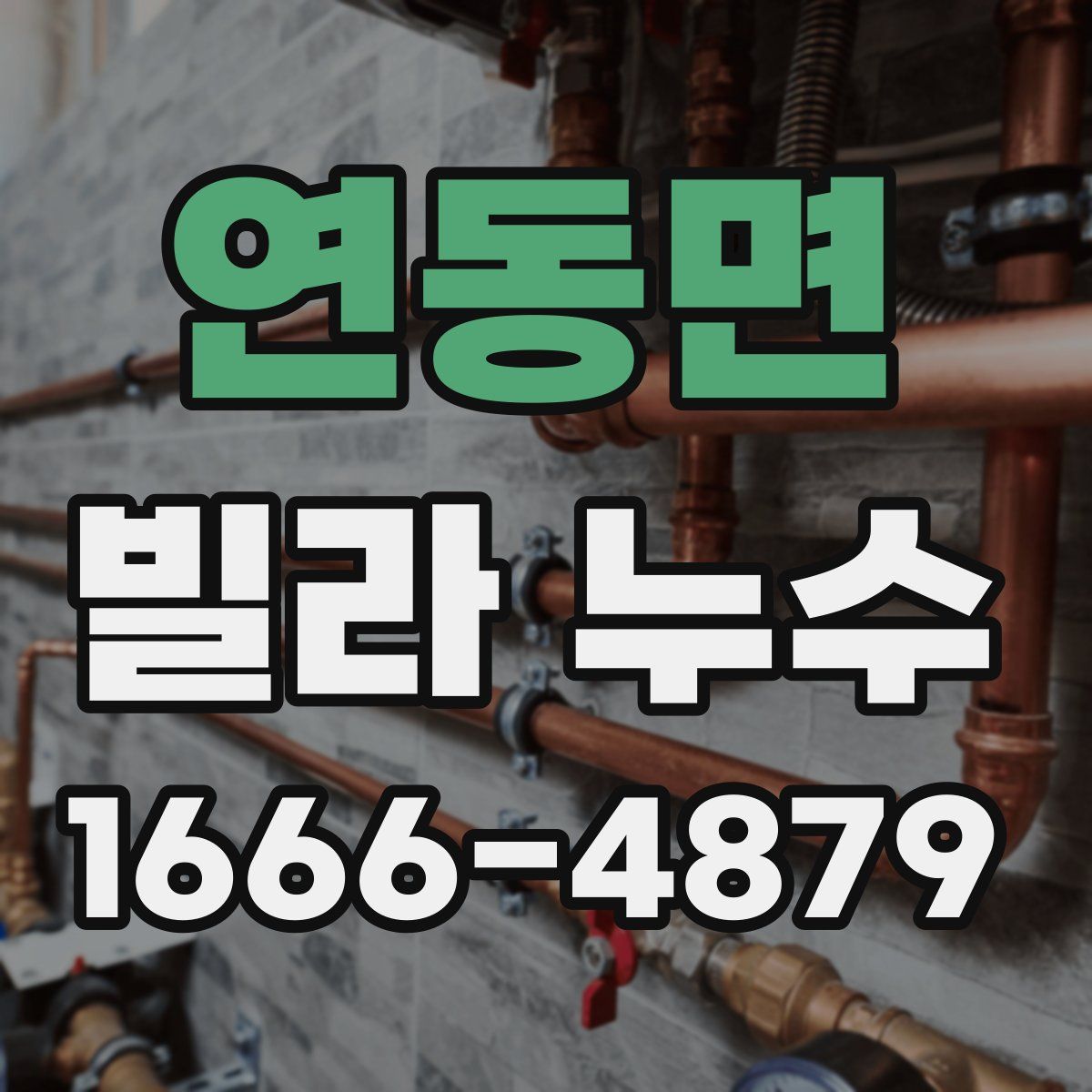연동면 빌라 누수