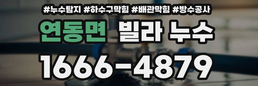 연동면 빌라 누수