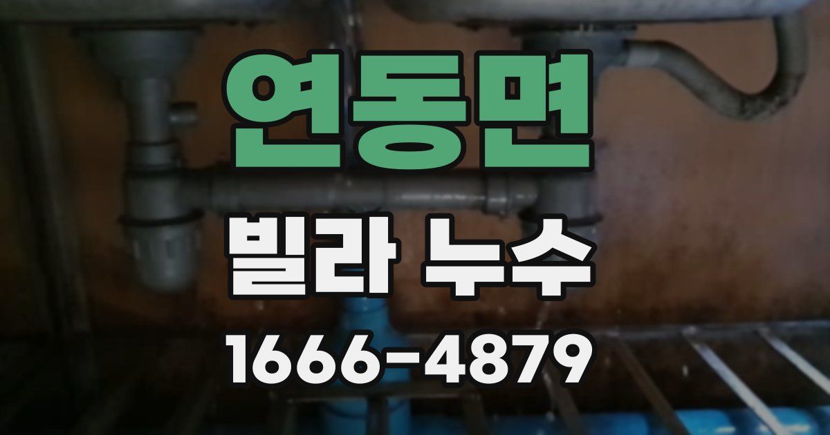 연동면 빌라 누수