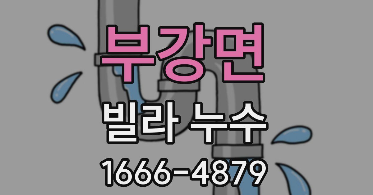 부강면 빌라 누수