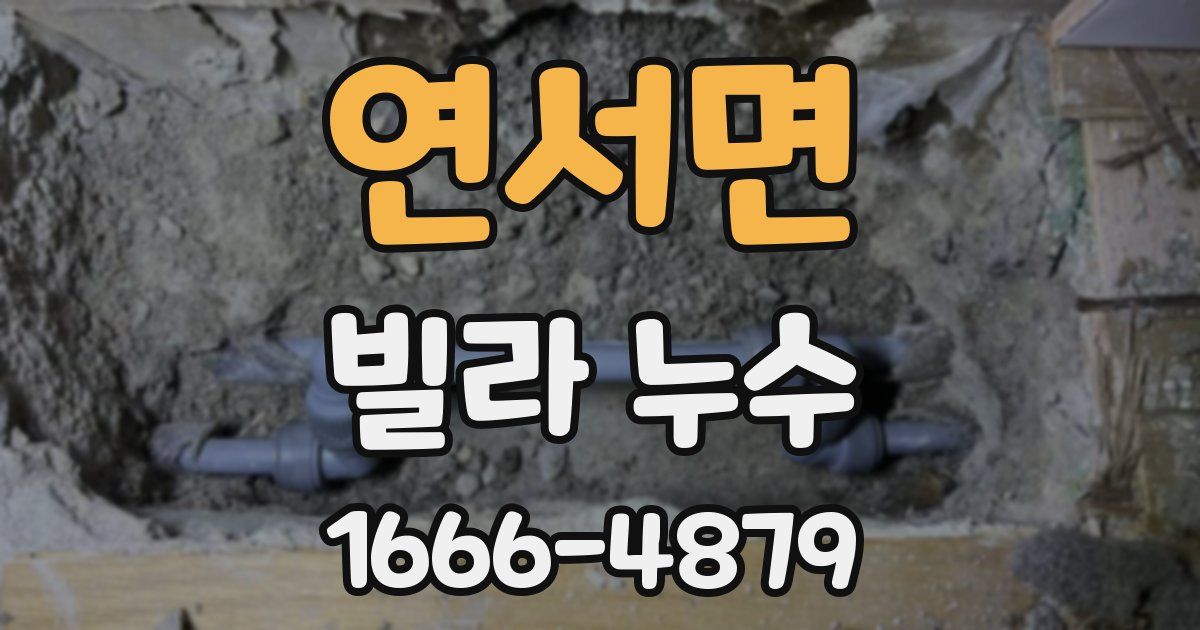 연서면 빌라 누수