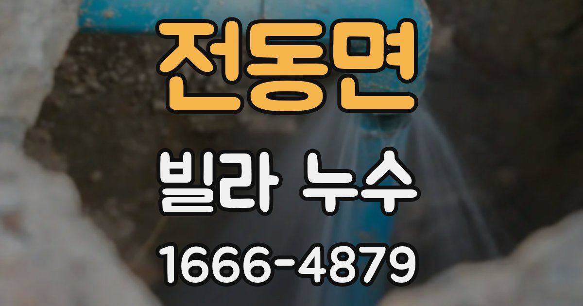 전동면 빌라 누수