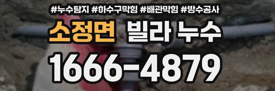 소정면 빌라 누수