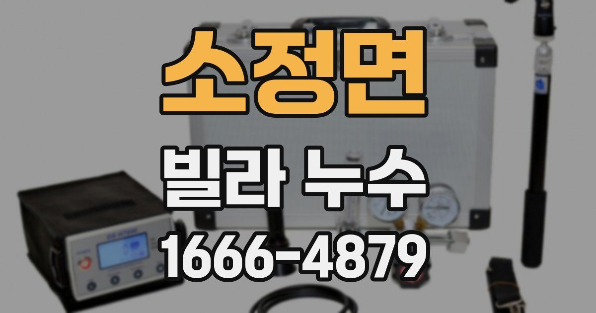 소정면 빌라 누수