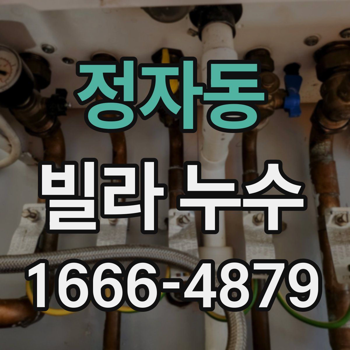 정자동 빌라 누수