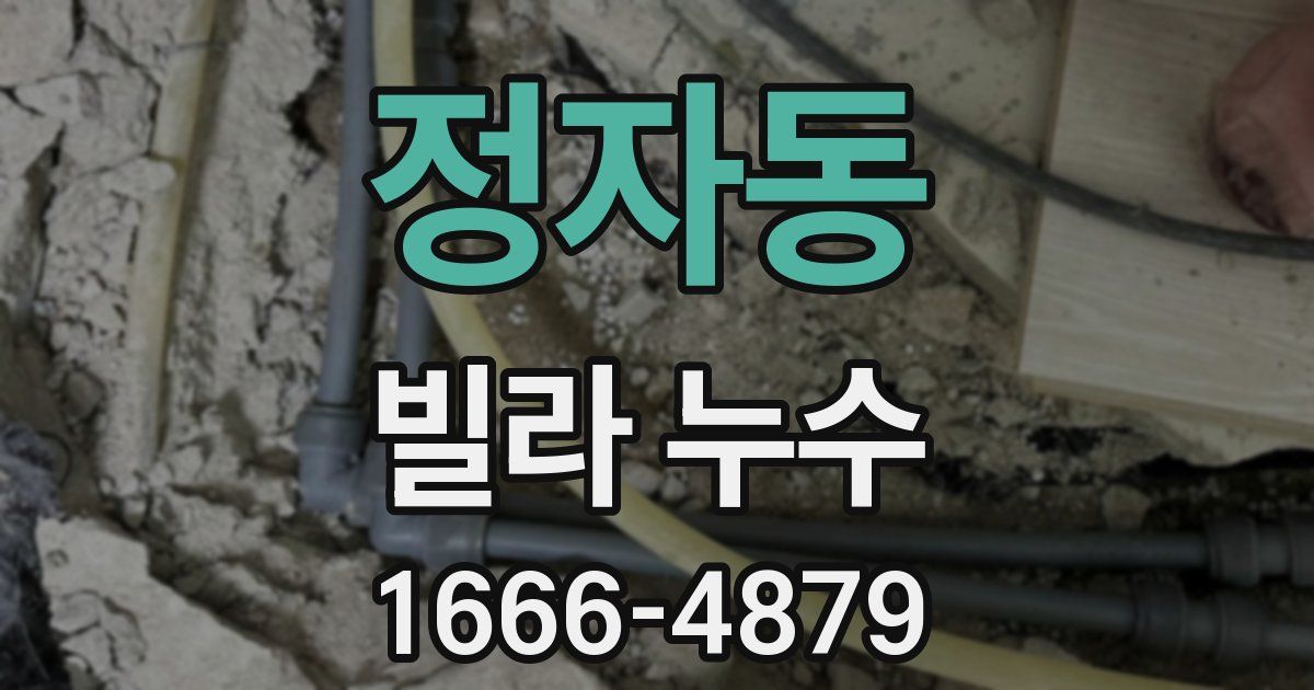 정자동 빌라 누수