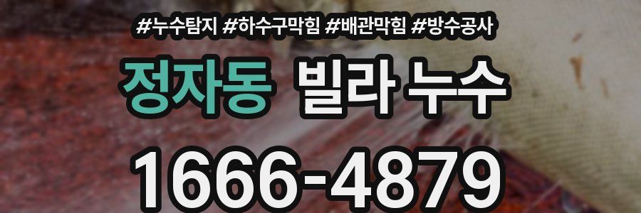 정자동 빌라 누수