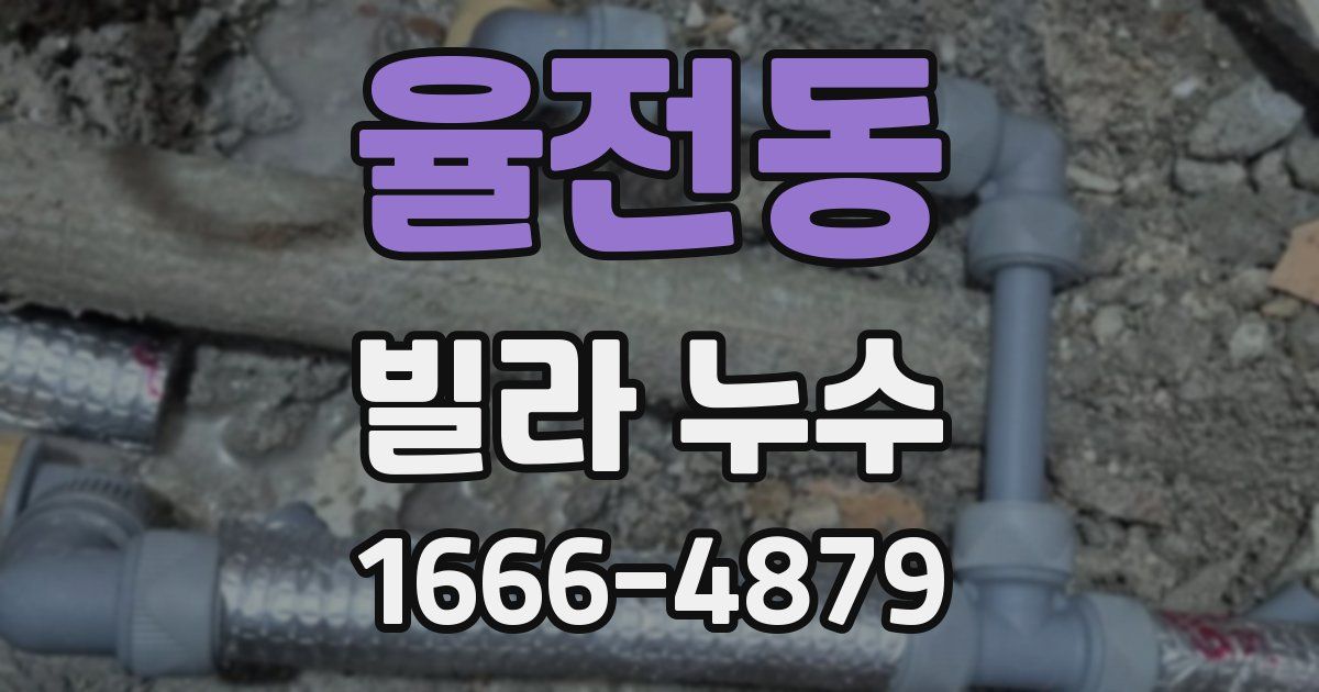 율전동 빌라 누수