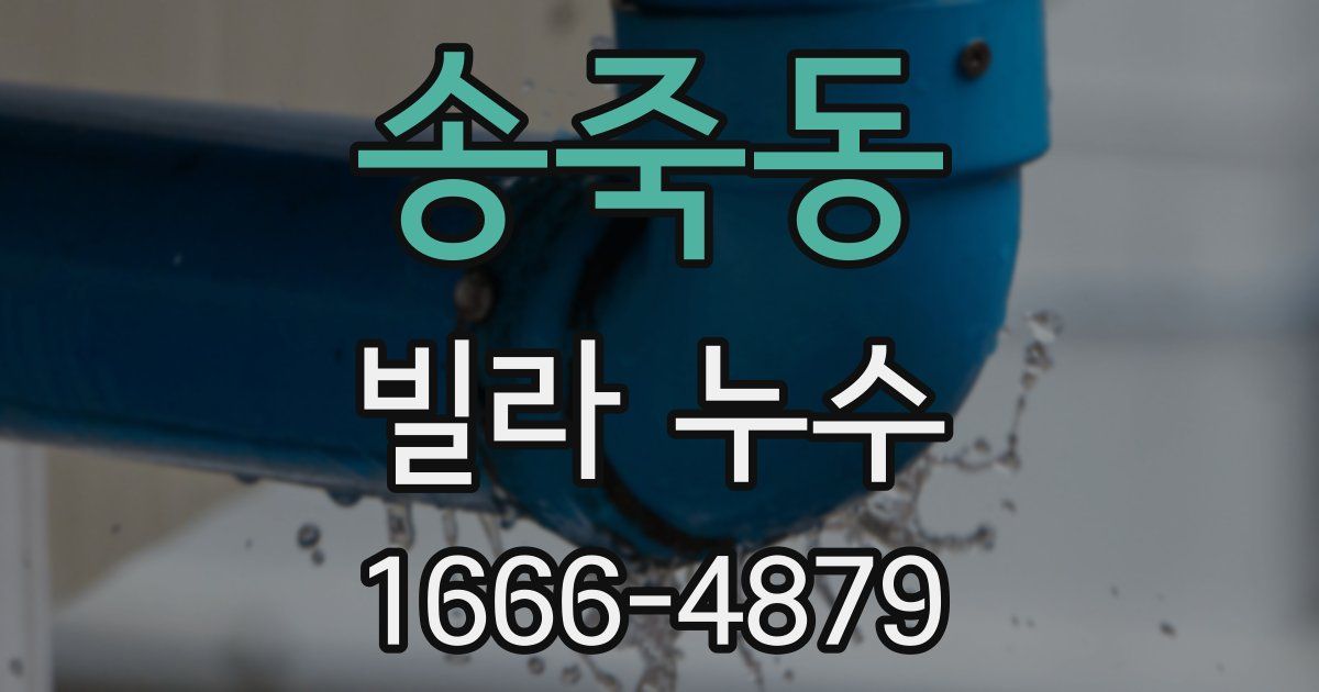 송죽동 빌라 누수