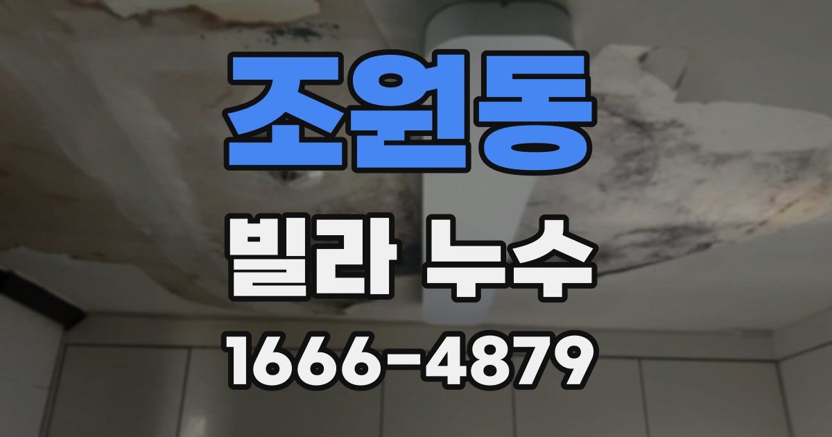 조원동 빌라 누수
