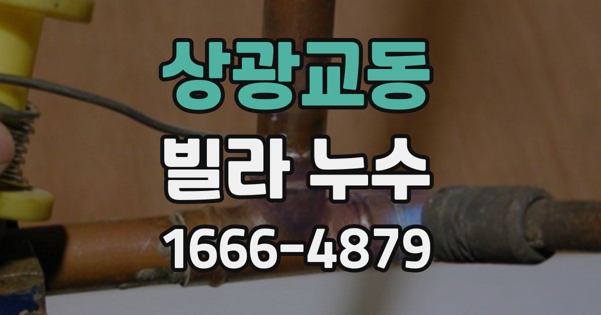 상광교동 빌라 누수