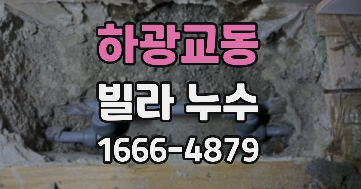 하광교동 빌라 누수