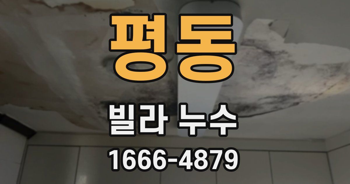 평동 빌라 누수