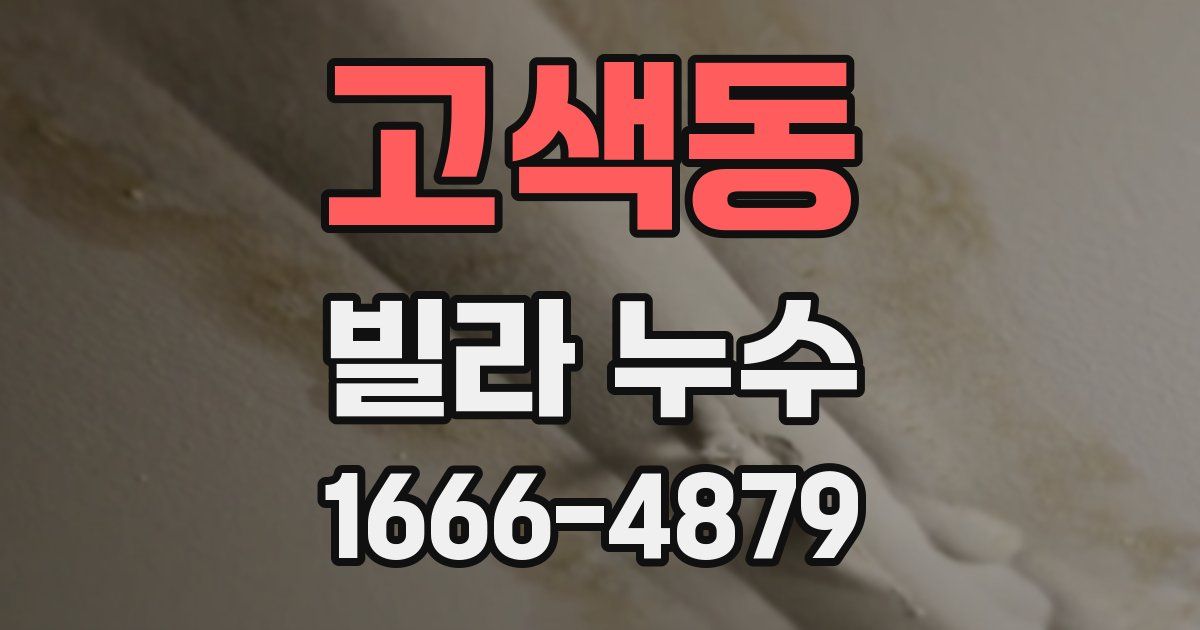 고색동 빌라 누수