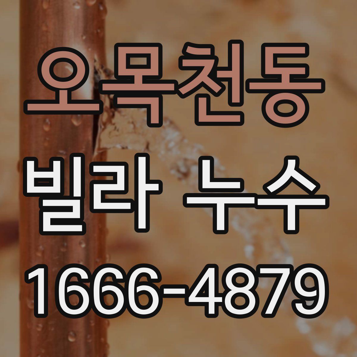 오목천동 빌라 누수
