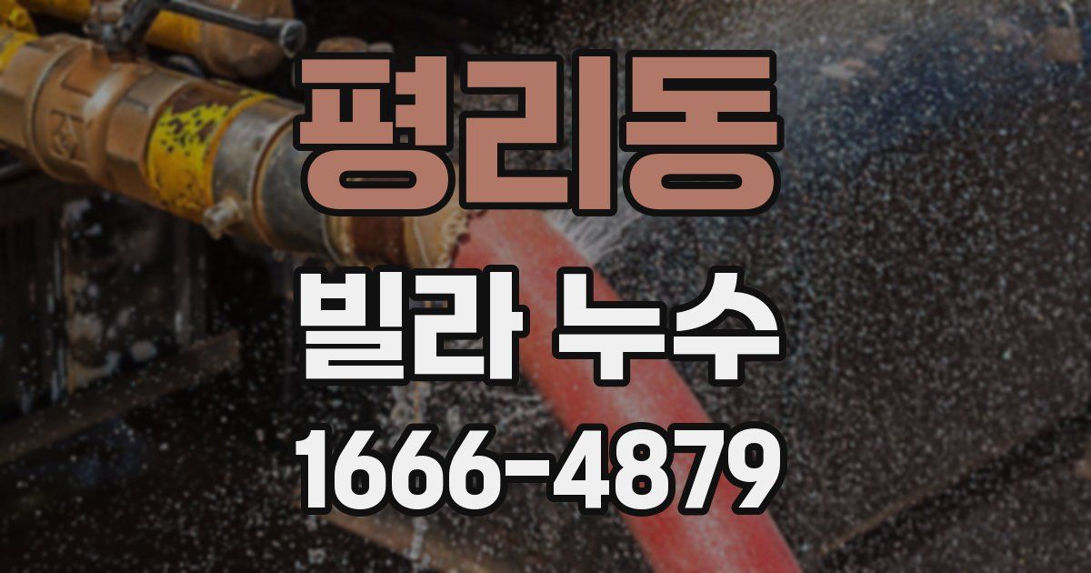평리동 빌라 누수