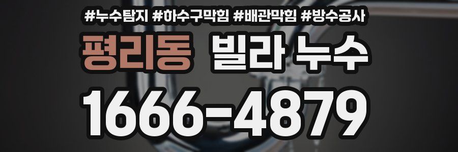 평리동 빌라 누수