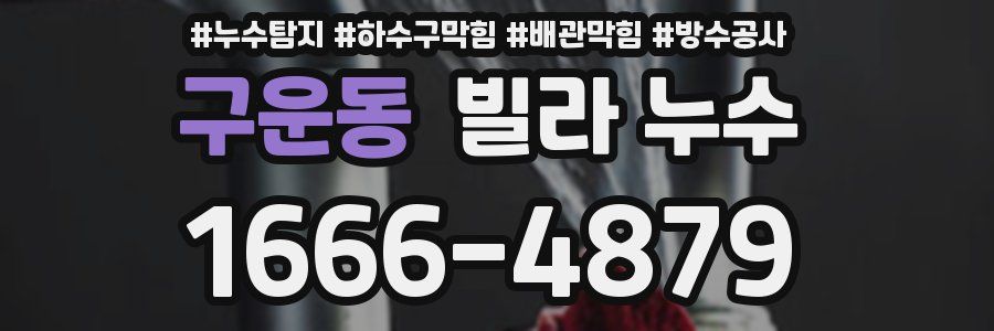 구운동 빌라 누수
