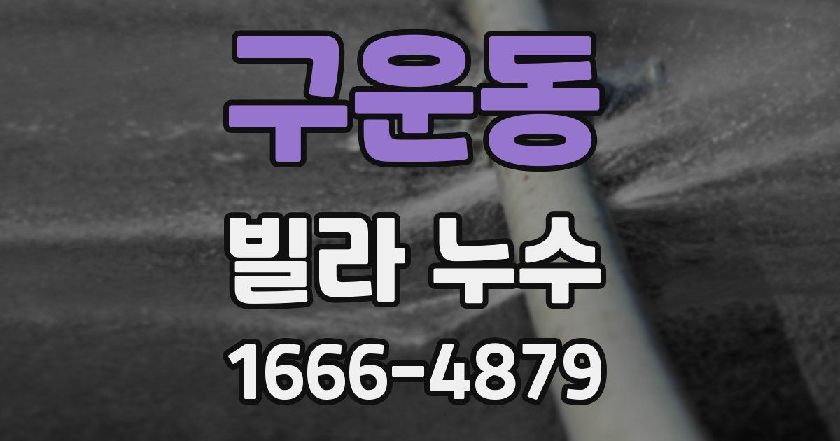구운동 빌라 누수