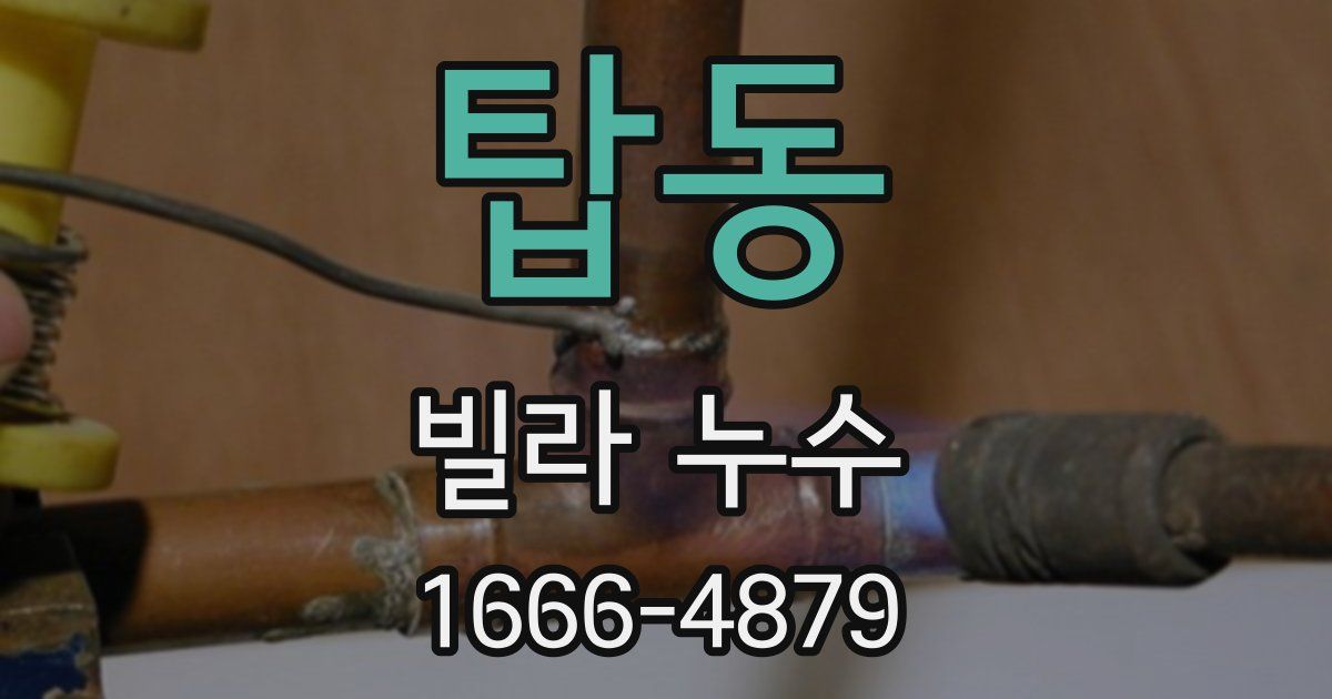 탑동 빌라 누수