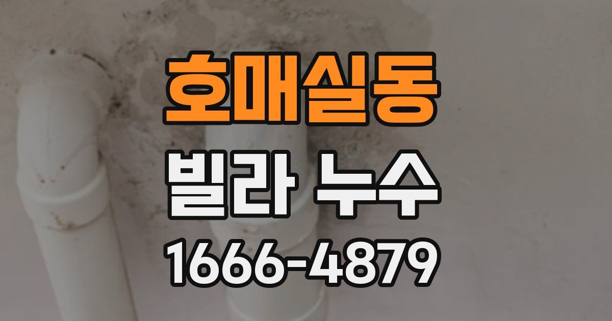 호매실동 빌라 누수