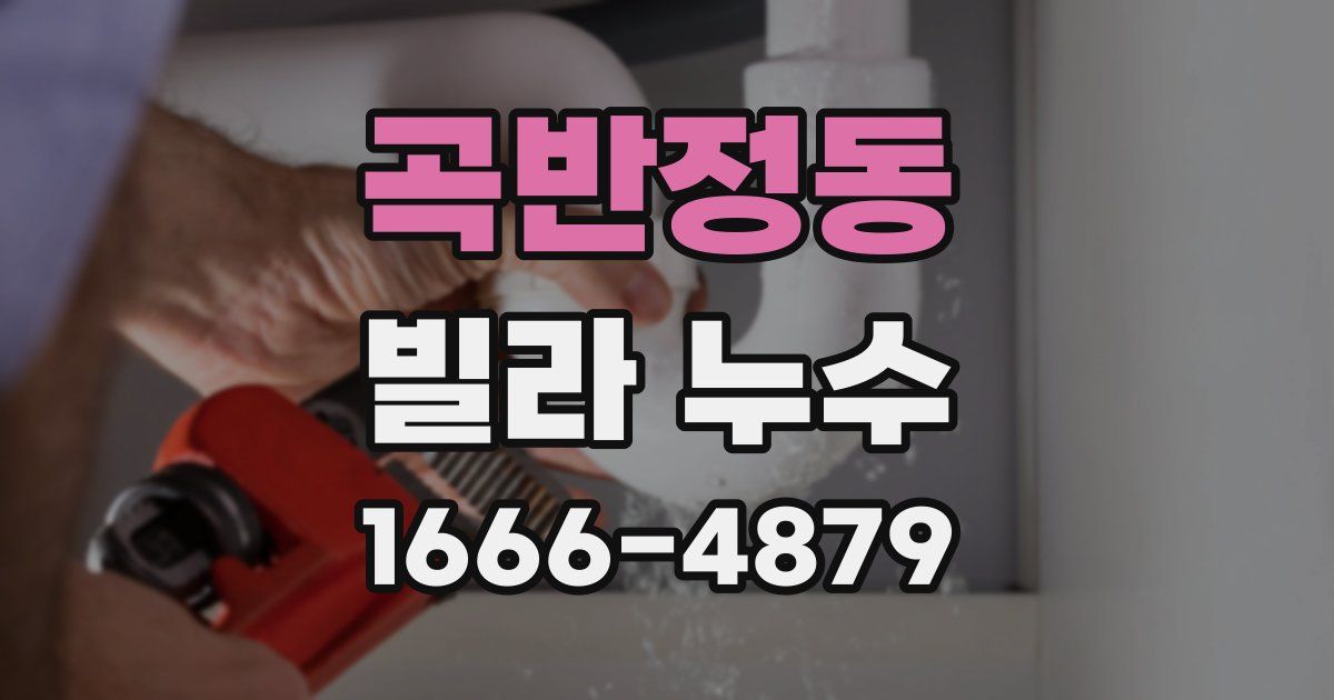 곡반정동 빌라 누수