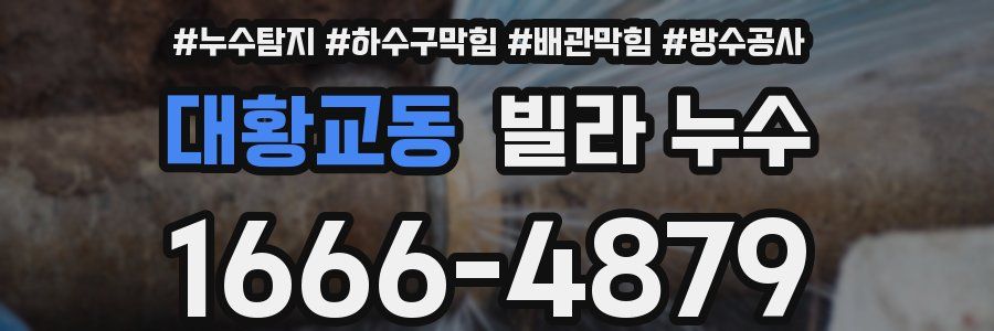 대황교동 빌라 누수