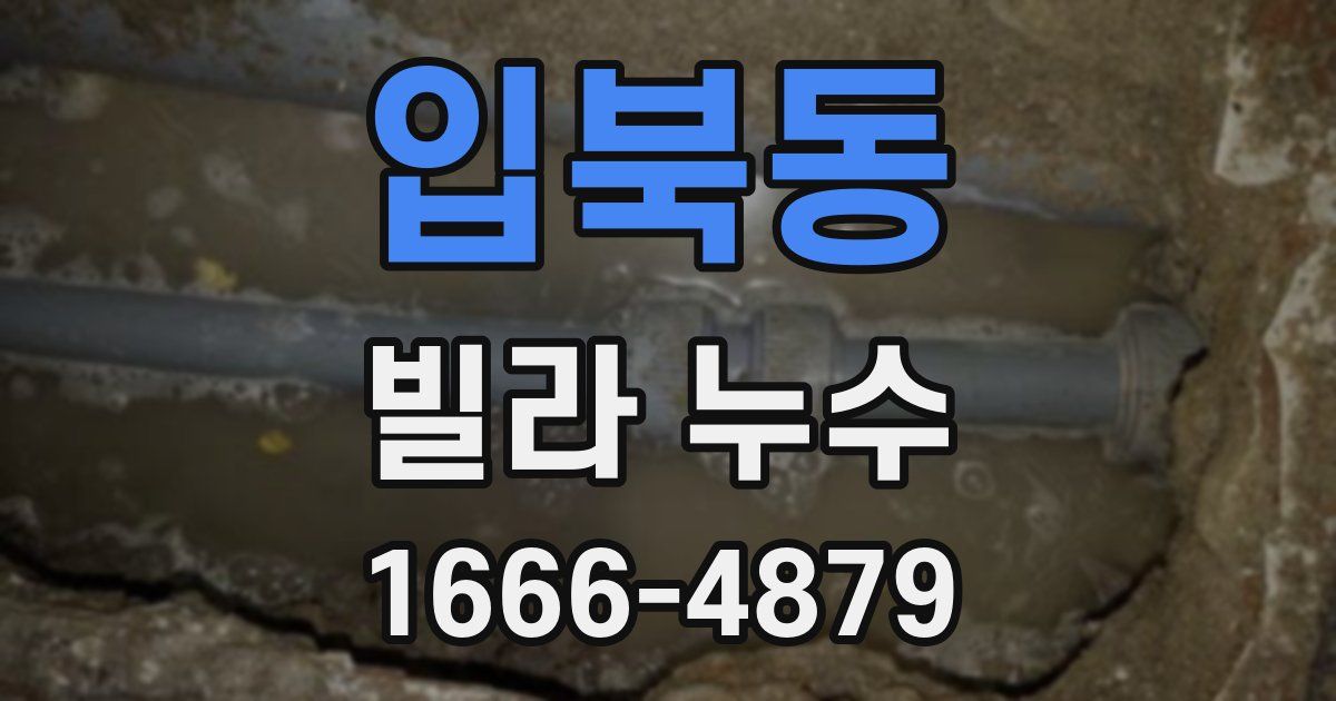 입북동 빌라 누수