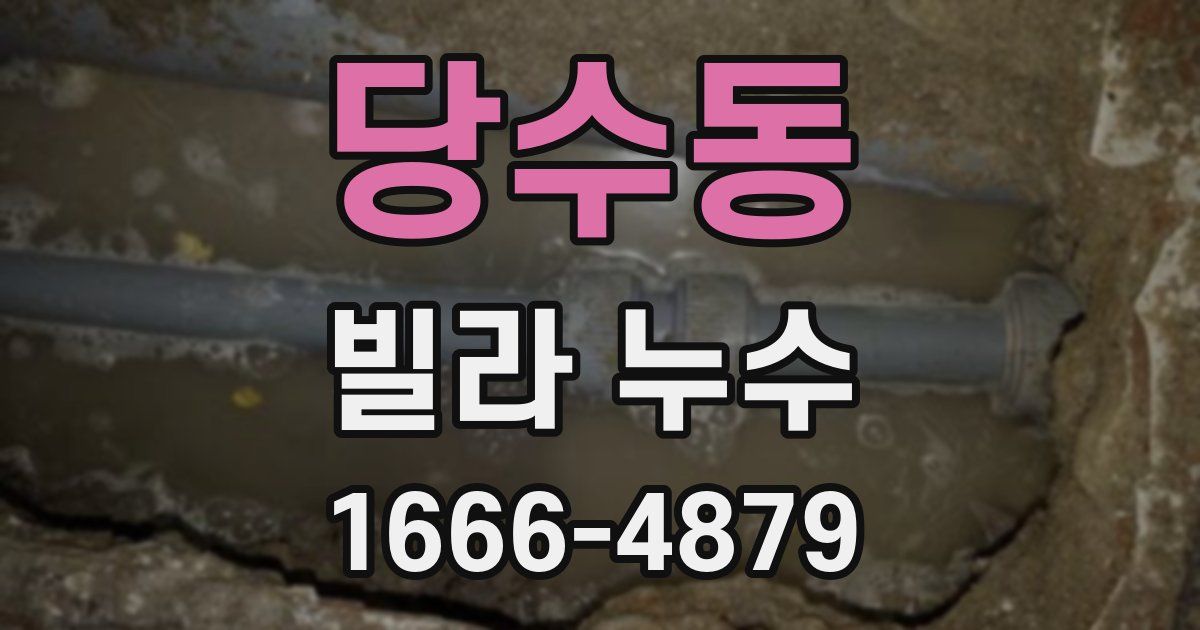 당수동 빌라 누수