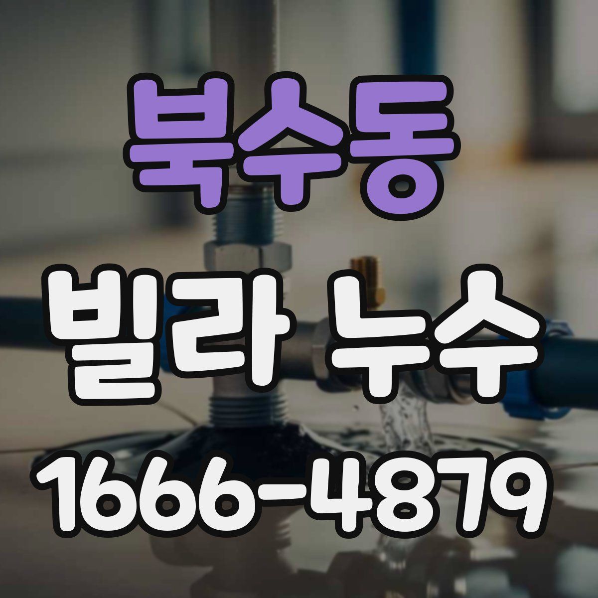 북수동 빌라 누수